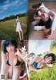 PINOCO ぴのこ, Young Jump 2019 No.46 (ヤングジャンプ 2019年46号) P6 No.4bed9f