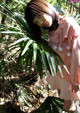 Shirouto Nana - Fotosbiaca Ebony Asstwerk P9 No.7bf0c3